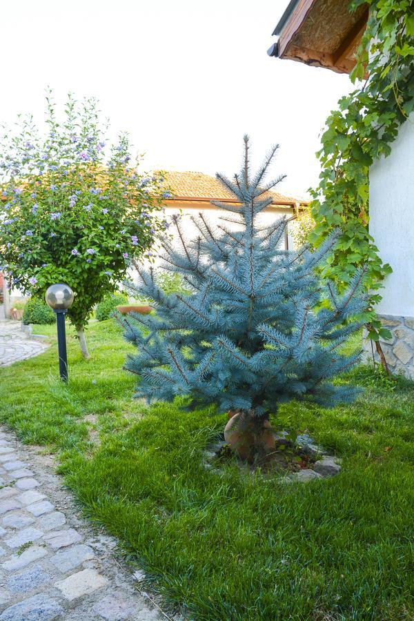 Guest House Raiski Kаt Mezek Екстериор снимка