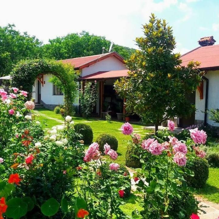 Guest House Raiski Kаt Mezek Екстериор снимка